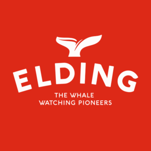 Elding